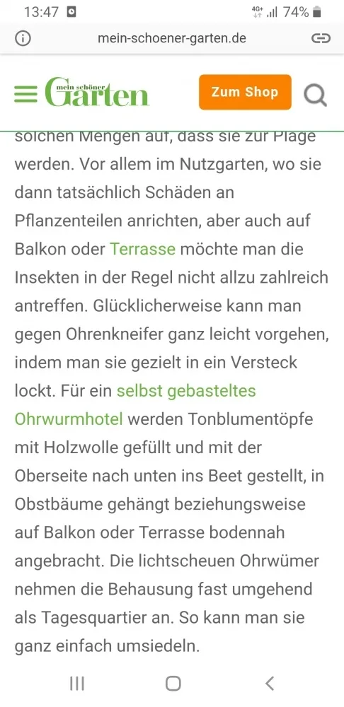 rqh2bdb3tyvx.webp