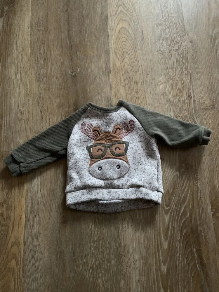 7a40g1ymtn4q.webp
