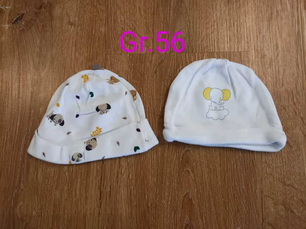 5fb9or7pkf5k.webp