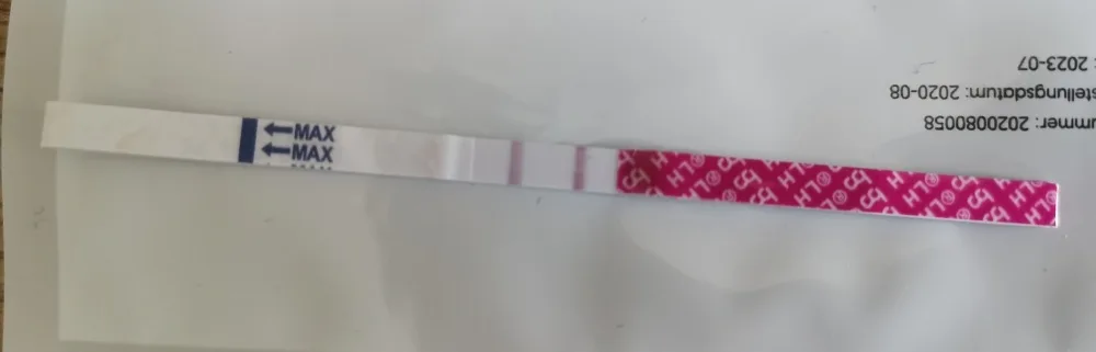 7xhoizu5xubj.webp