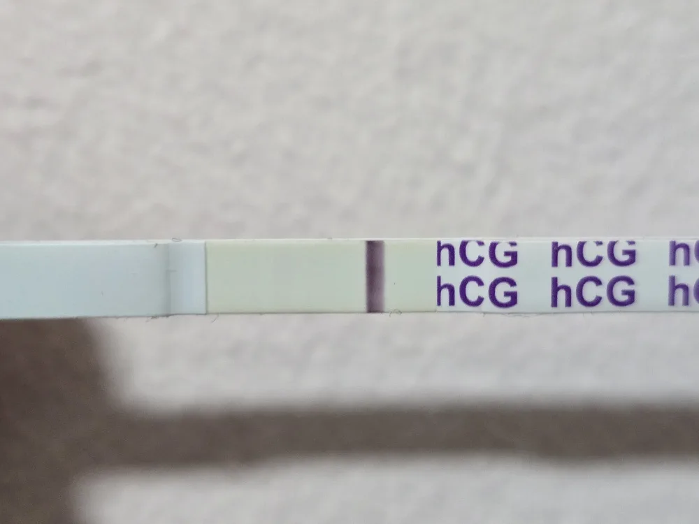 hb38sz5otb7e.webp