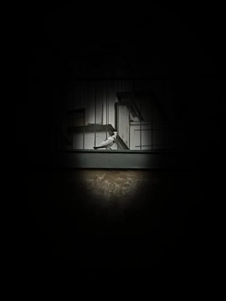 tvbvd7cz9cus.webp