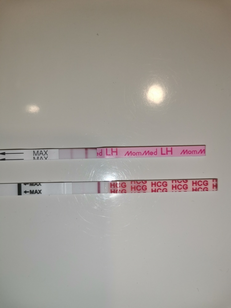 b4x52i2e50i3.jpg