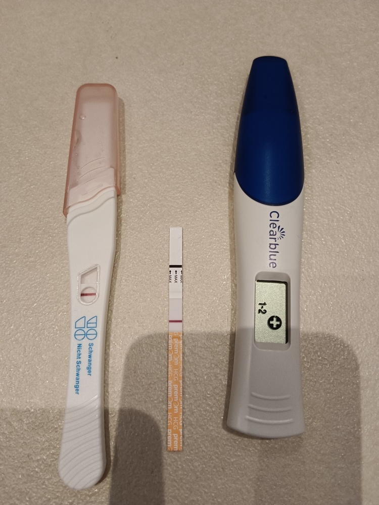 wv9lrv51njh6.jpg