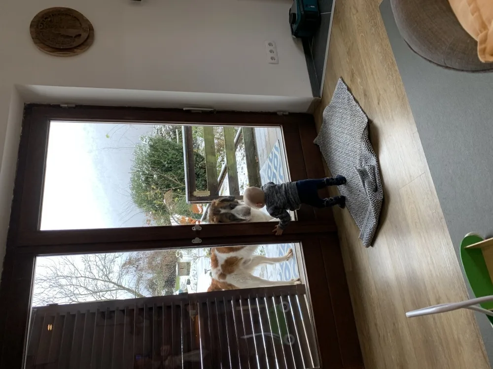 htjqgr6yi8cv.webp