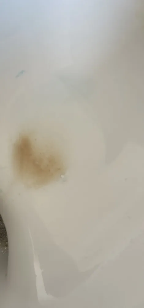 6f58sjdhtqet.webp