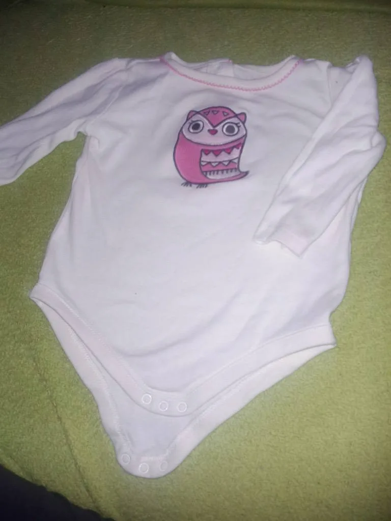 ggcan3rb49kk.webp