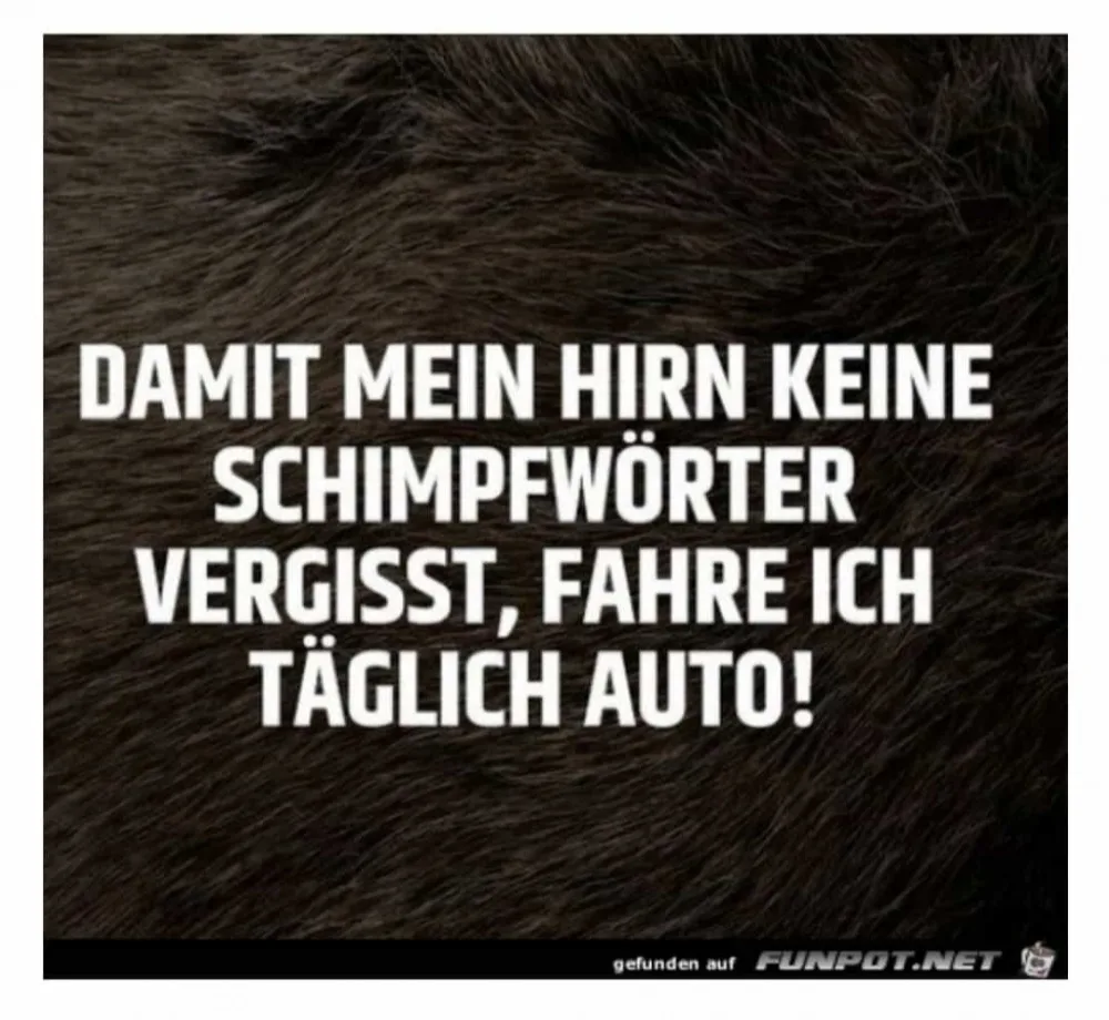 a8syx7gycadq.webp