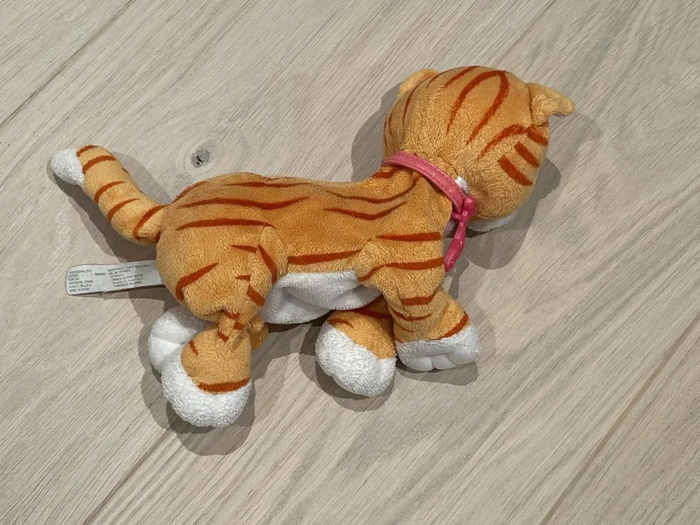 cwcfw9g5a5nq.webp