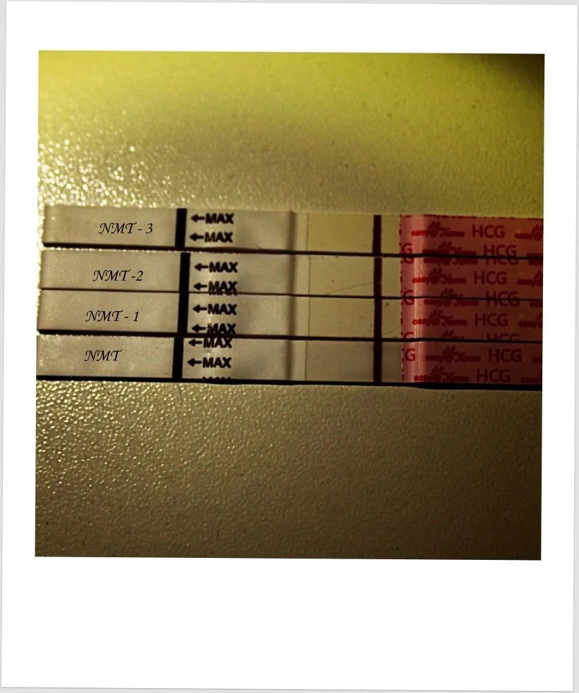s3izllldakb6.webp