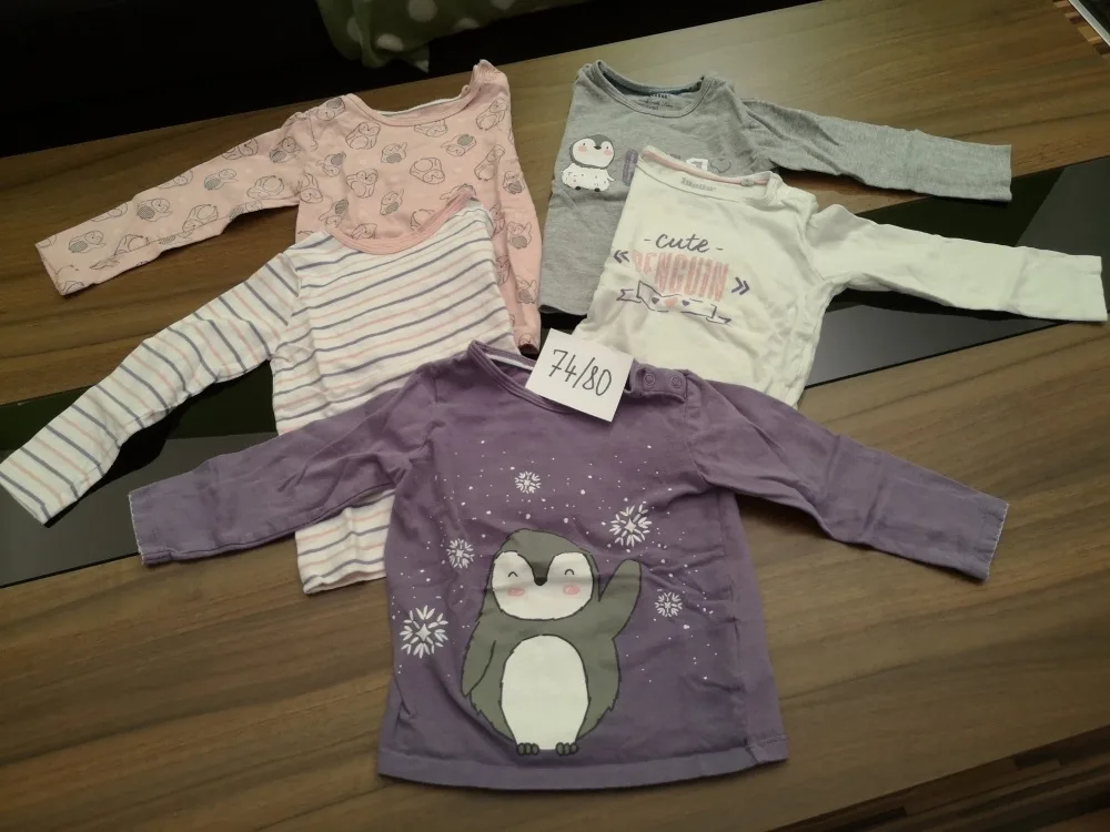 qvj5x75fyh15.webp