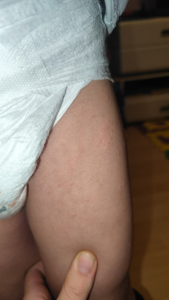 y51qcdthf8jl.jpg