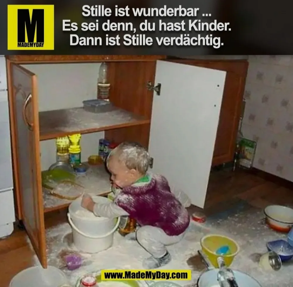 eie6zz3wvgyn.webp