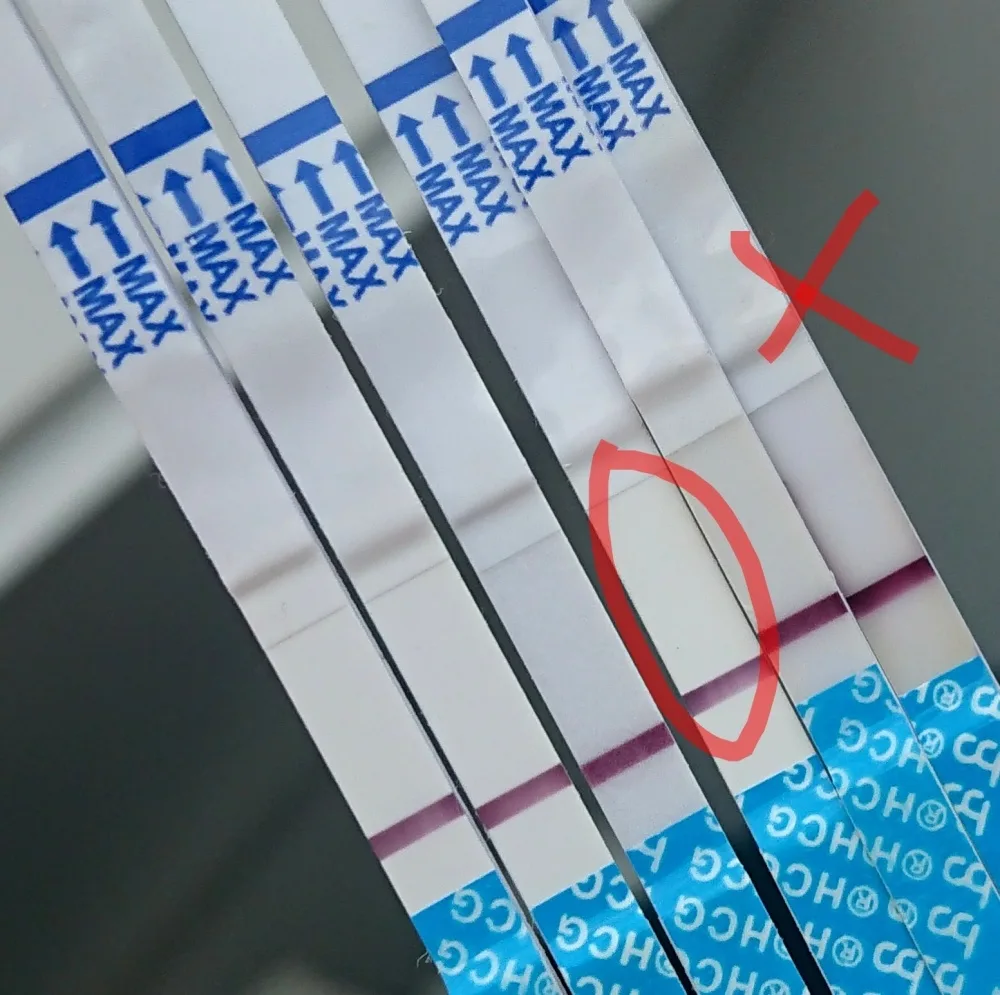 w79xghz3xkci.webp