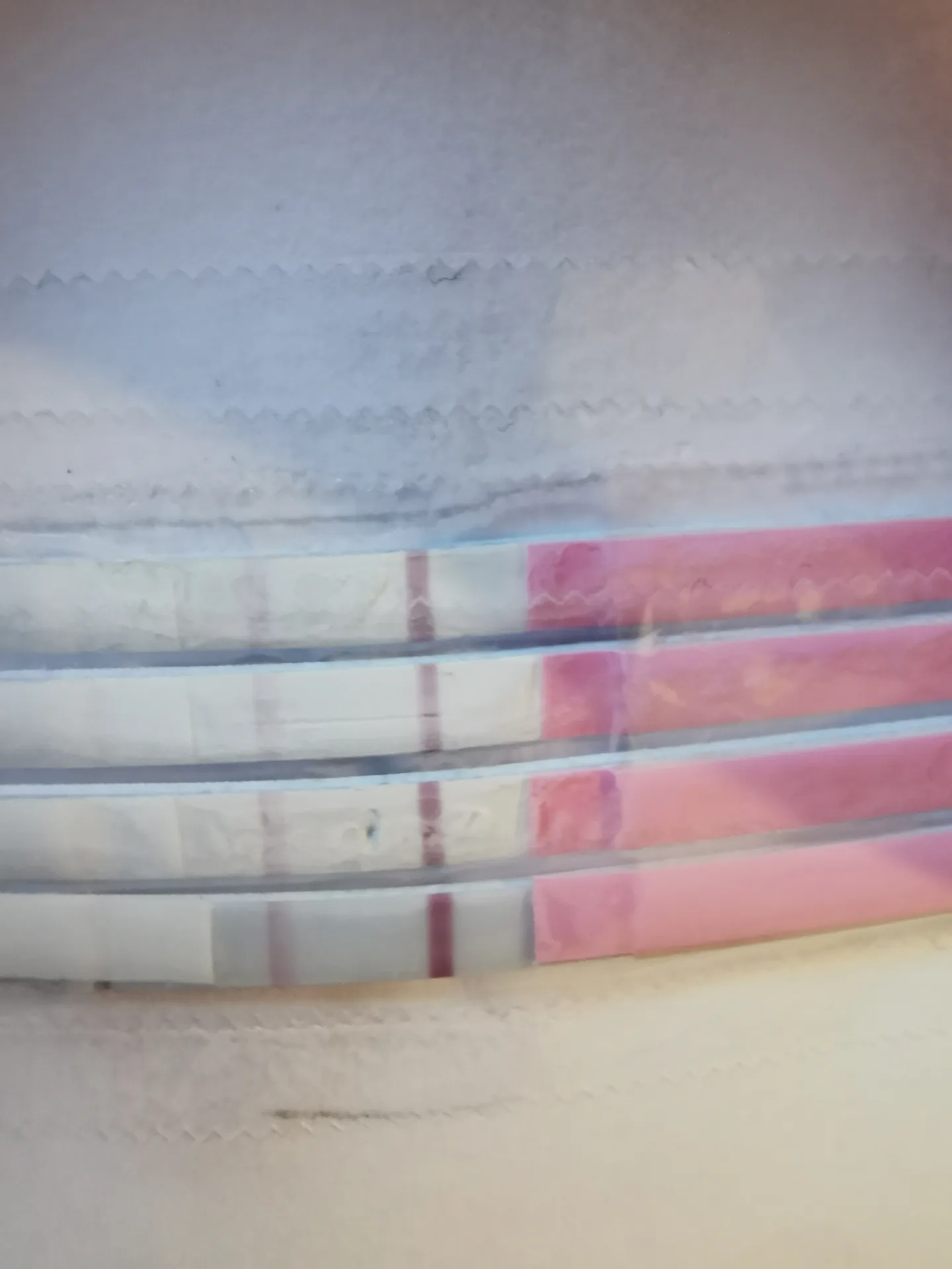 b4omvrfa677r.webp