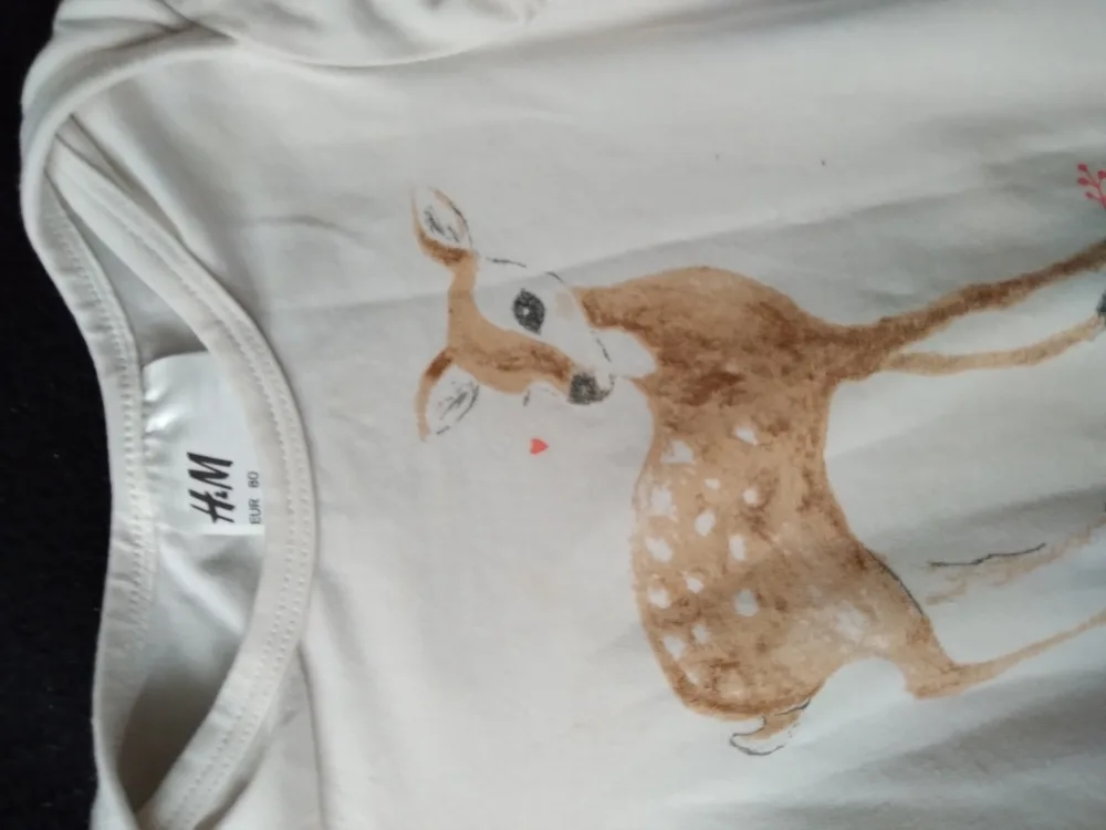 n6gmj7y5uv1g.webp