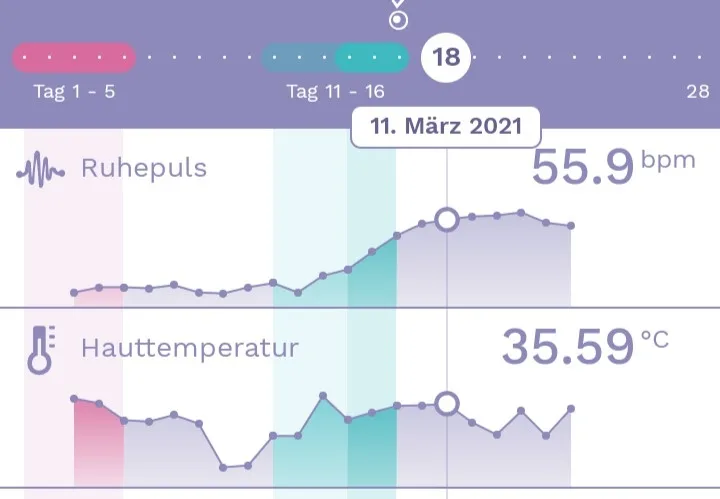 4hmv3tueqrup.webp