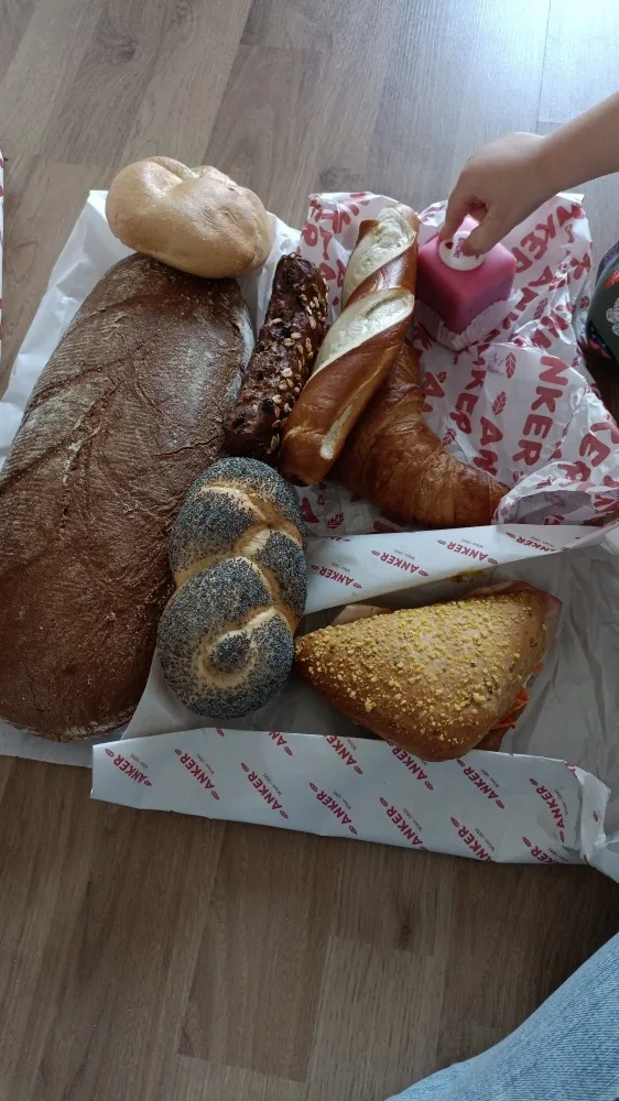 7yjipzj652ph.webp