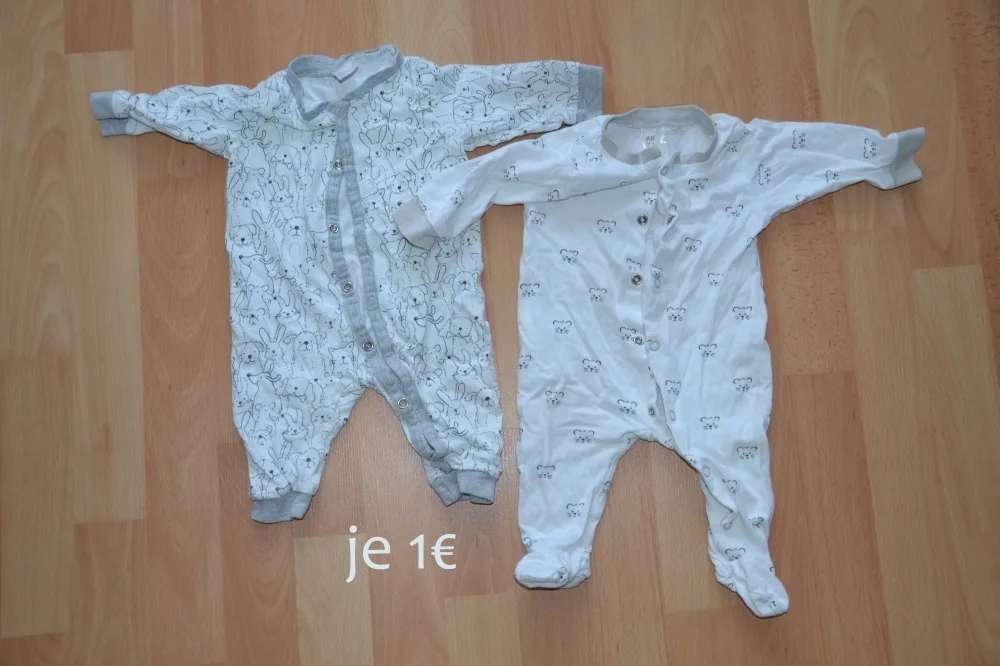 f34dpedrgxxu.webp