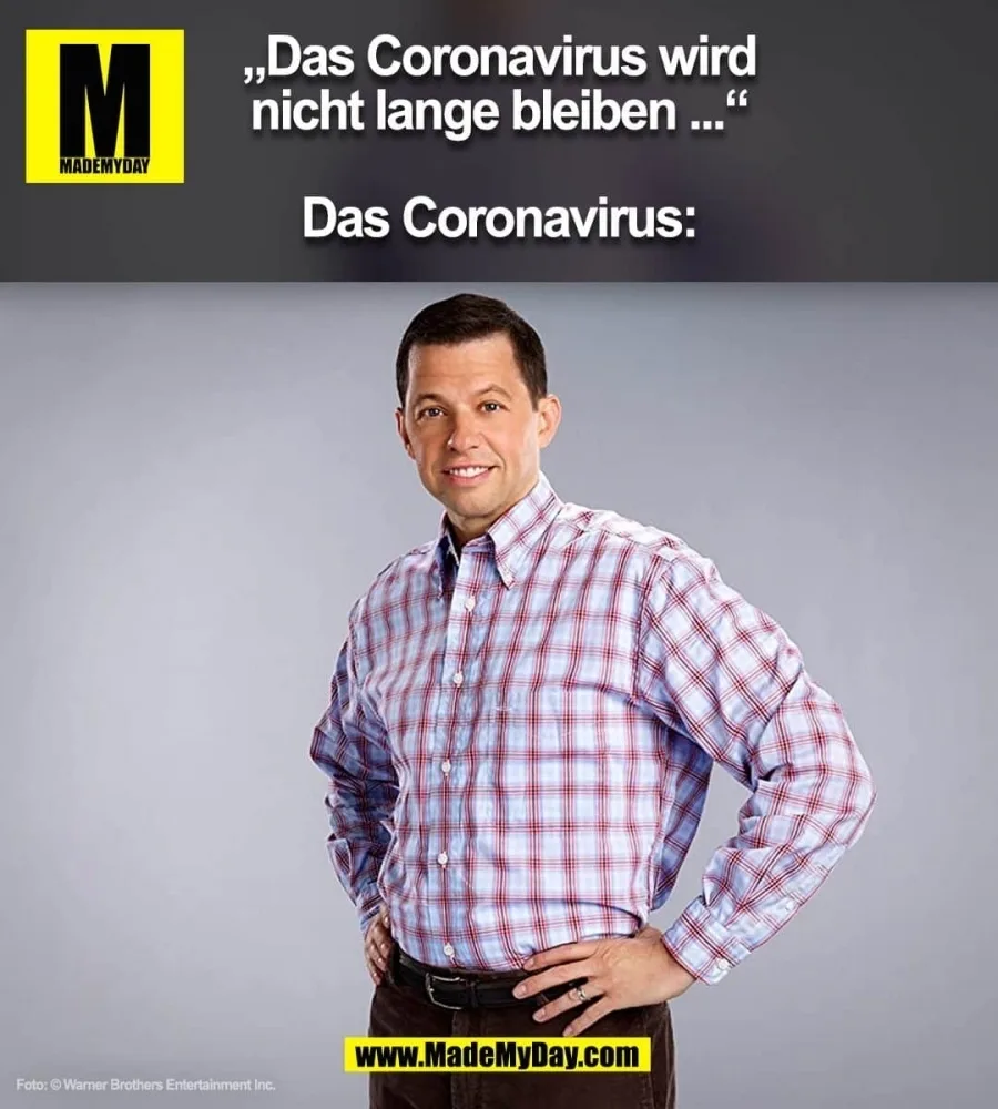 zltduvscpuxu.webp