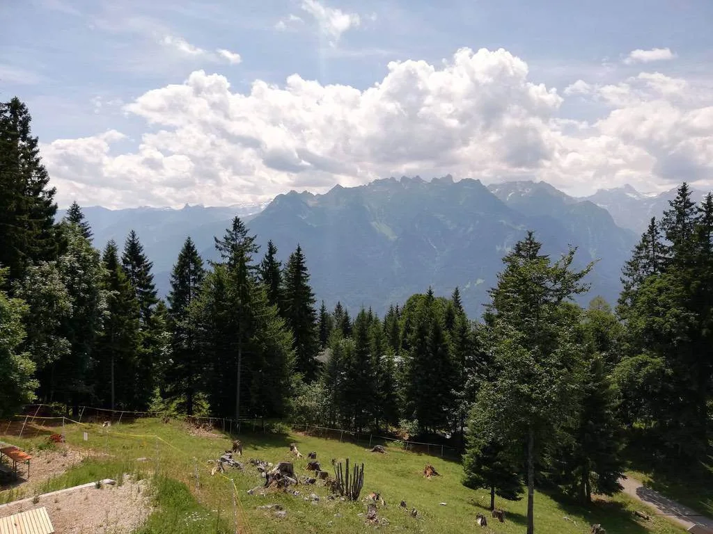 otxvqpti6k61.webp