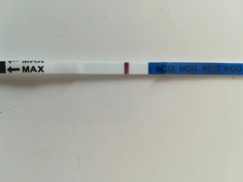 9evd3nxp1x4l.webp