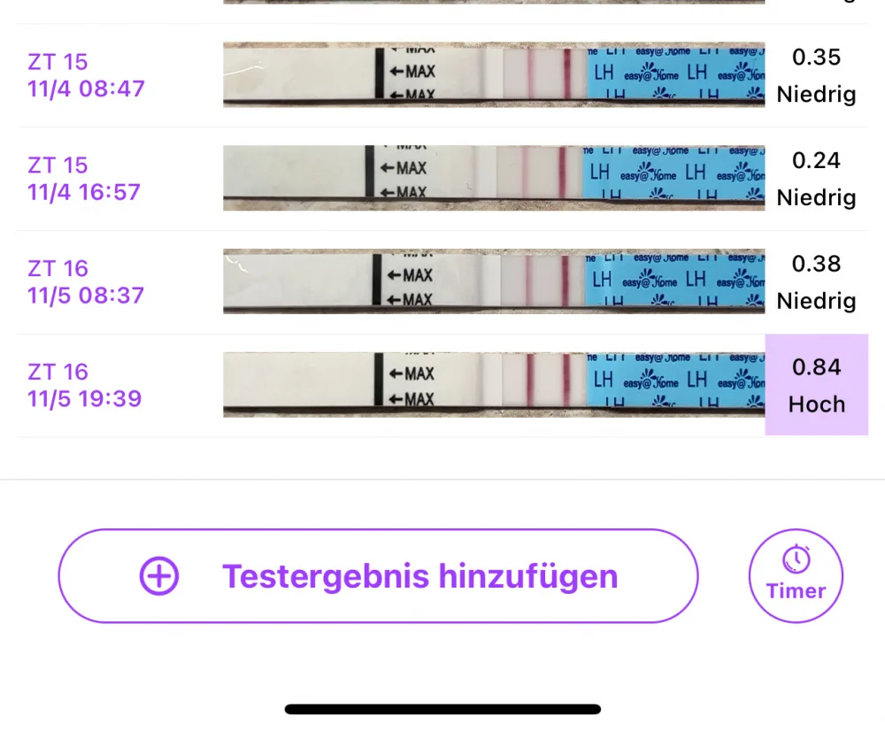 oer488djzhm1.webp