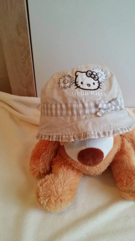 ed3t7mf43n70.webp