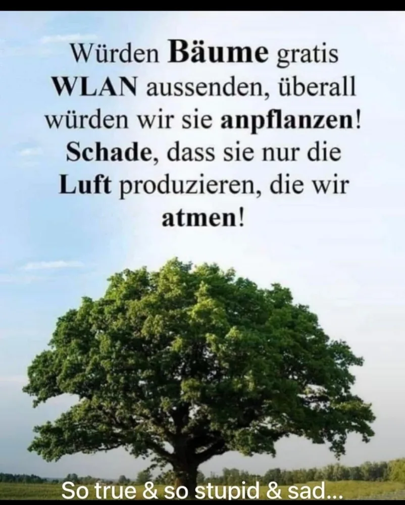 t6xp78okdm0l.webp