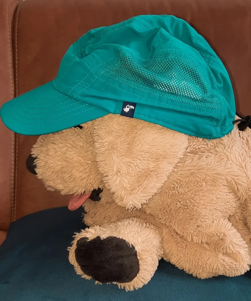 bsfn874c76dg.webp