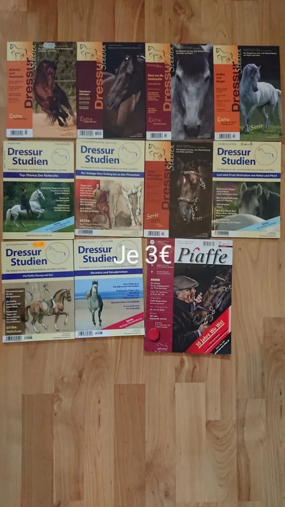 dg9jxet5dklz.webp