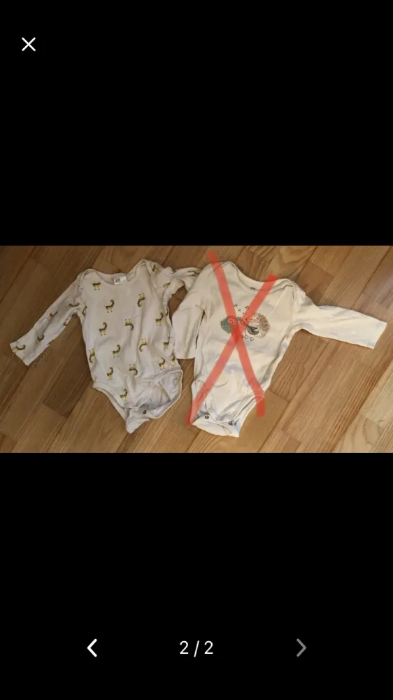 yaxso4p7vo9w.webp