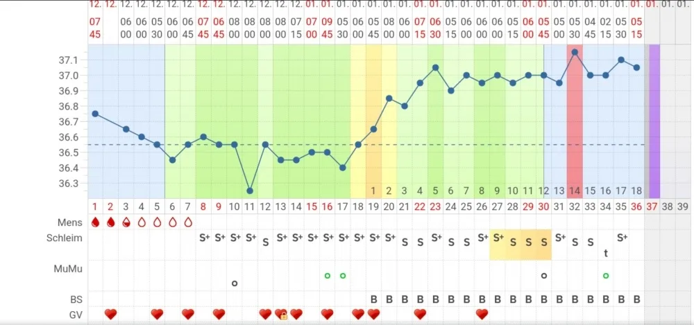 yqoob79ixg9l.webp