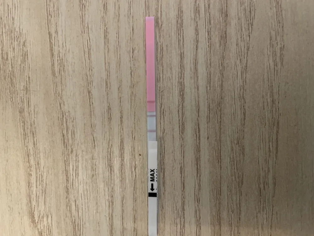 2i8q7pfjrnra.webp