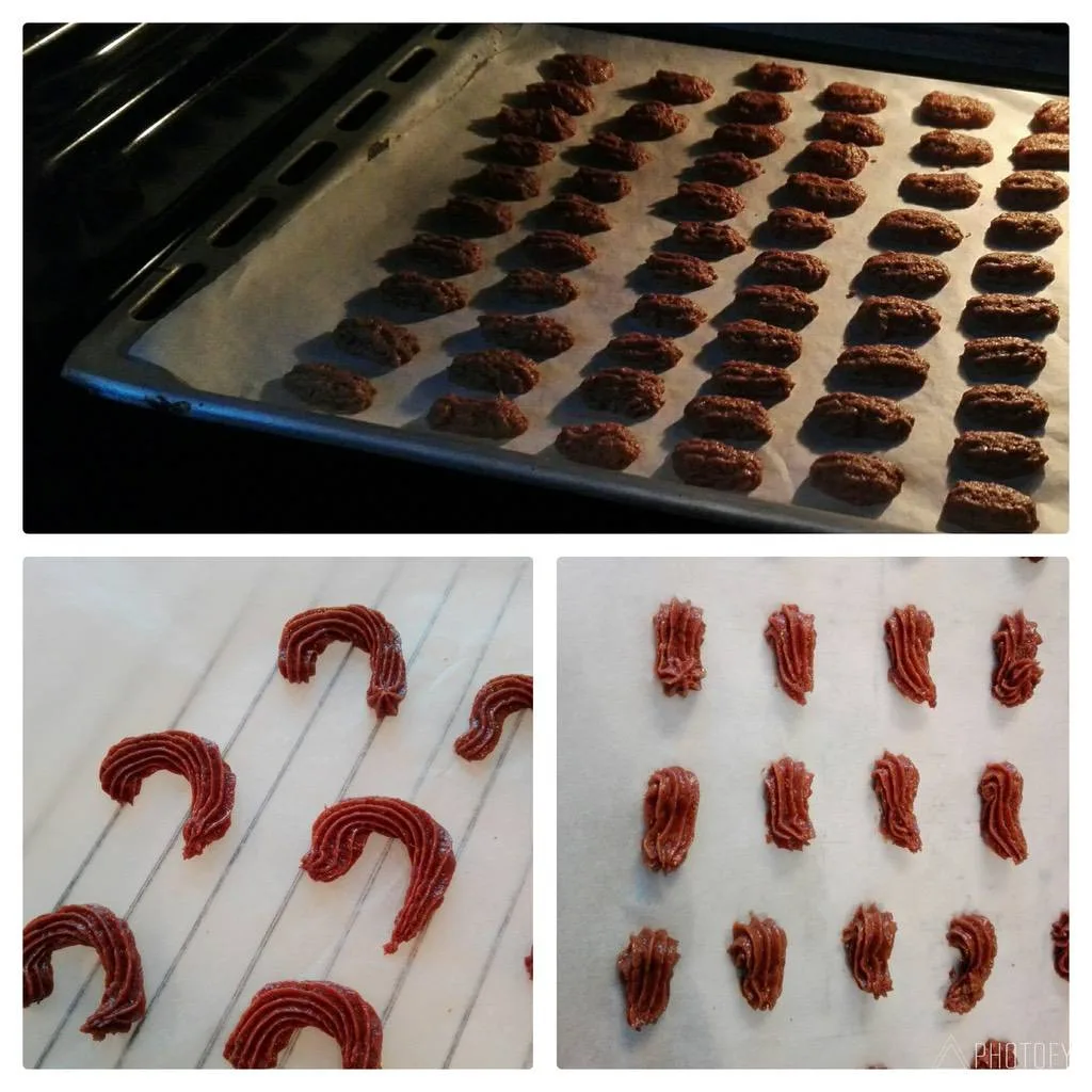 dw4pwb5tmyxb.webp