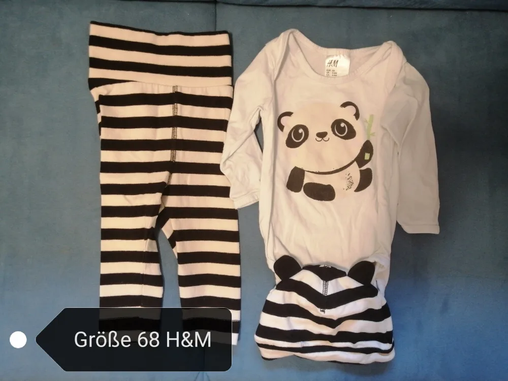 tmh06qyectc3.webp