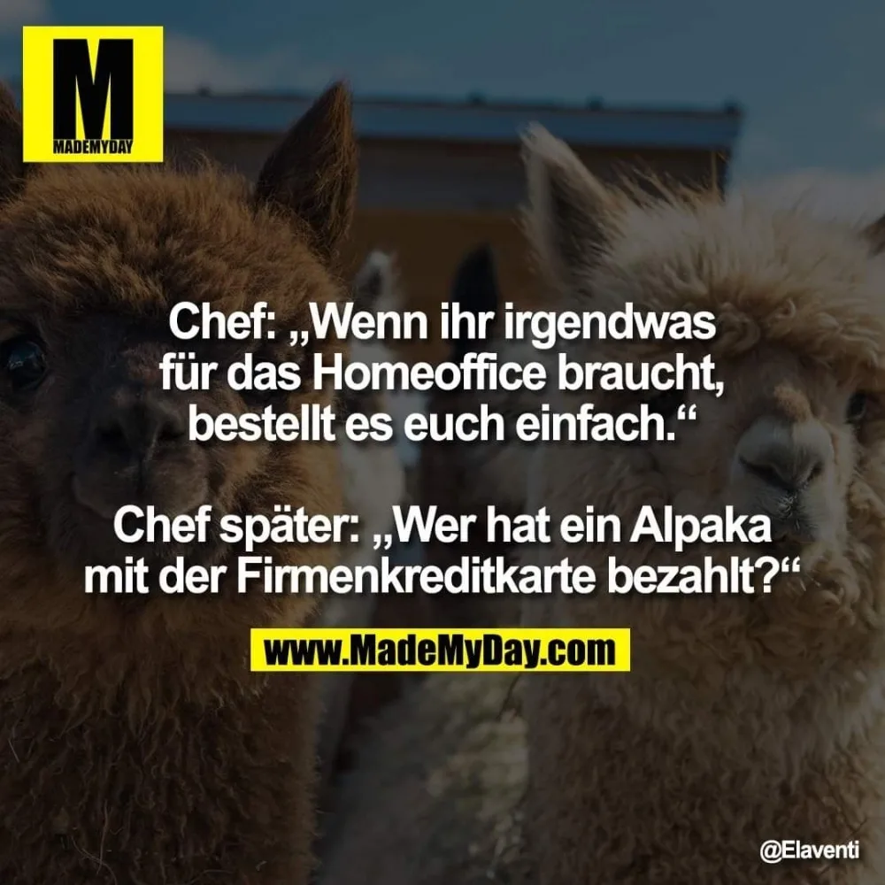 wiwoda48jc38.webp
