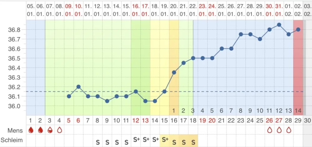 mhqaungwb38z.webp