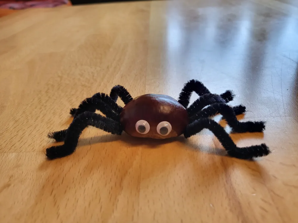 sppvhzifpzgt.webp