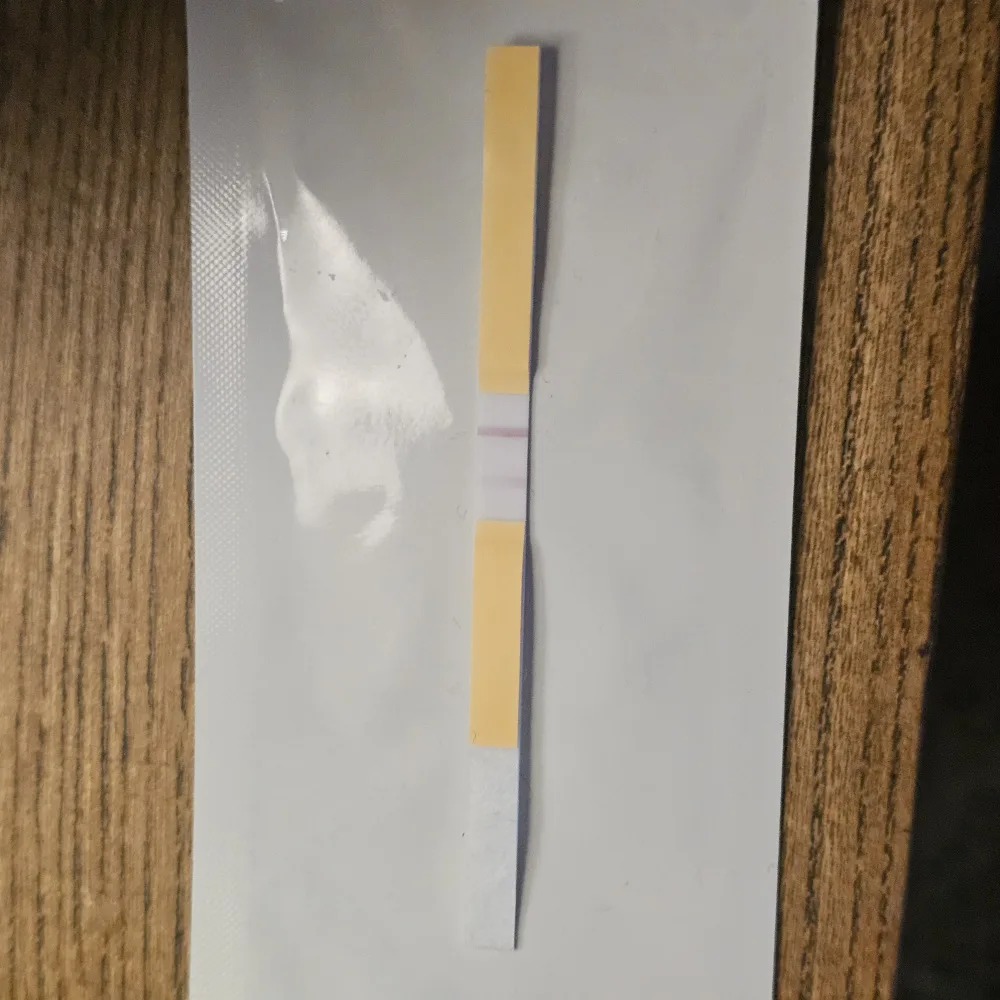 d02fx4f78cqq.webp
