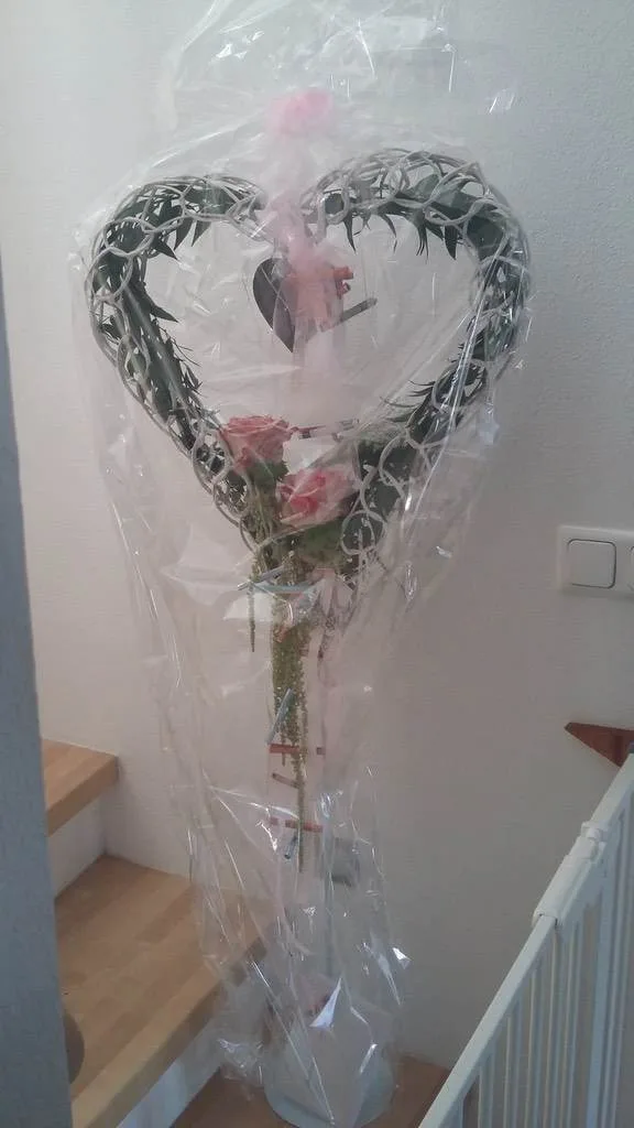 bnbi2xw7jonu.webp