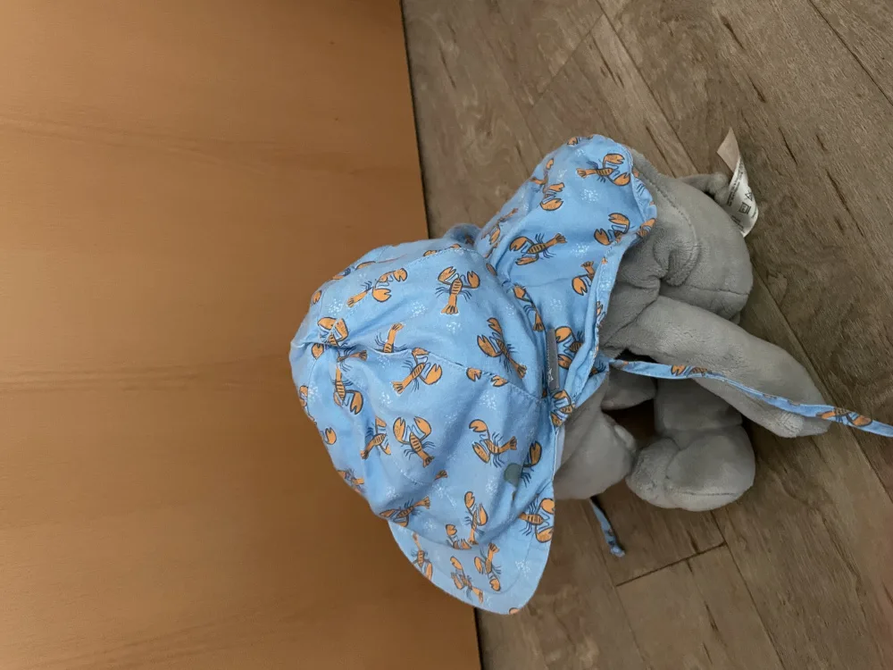 rszrkx1ufykc.webp