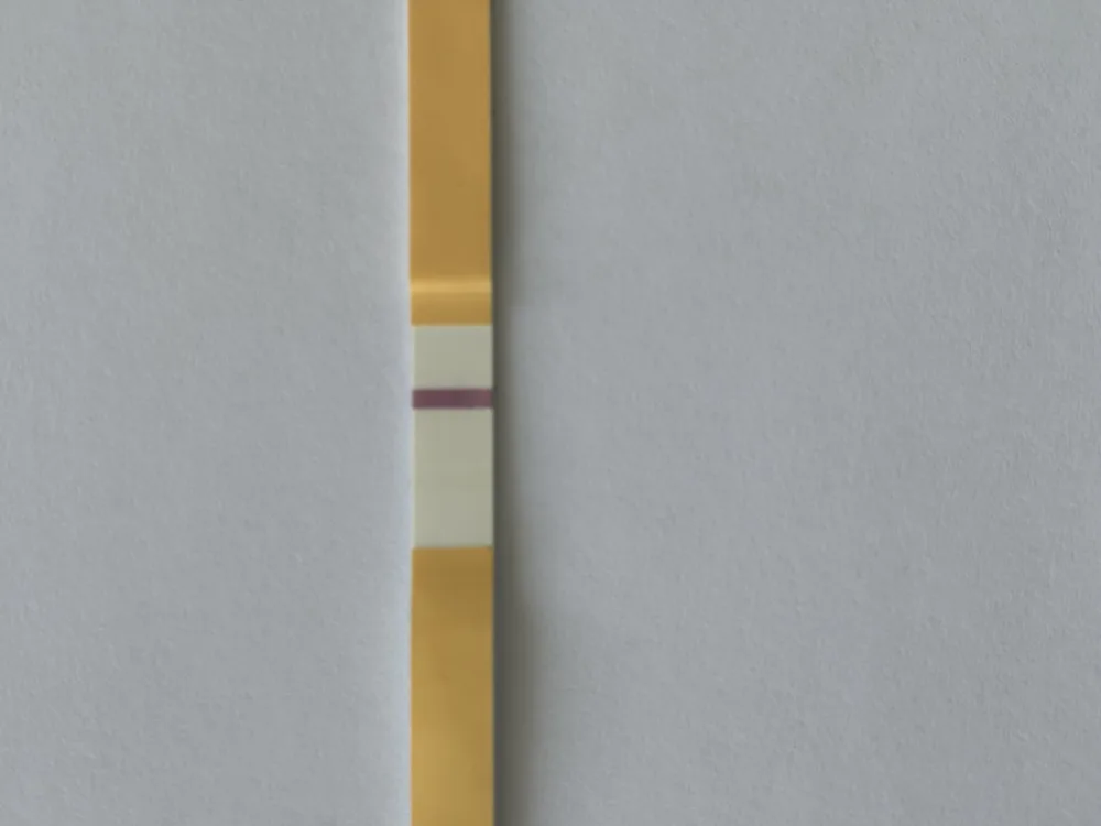 a08k3n9y6xxo.webp