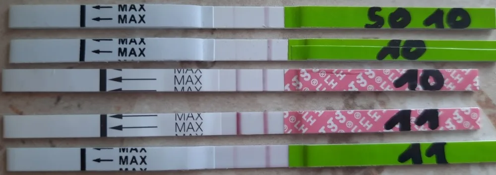 x52mmrpkw5dk.webp