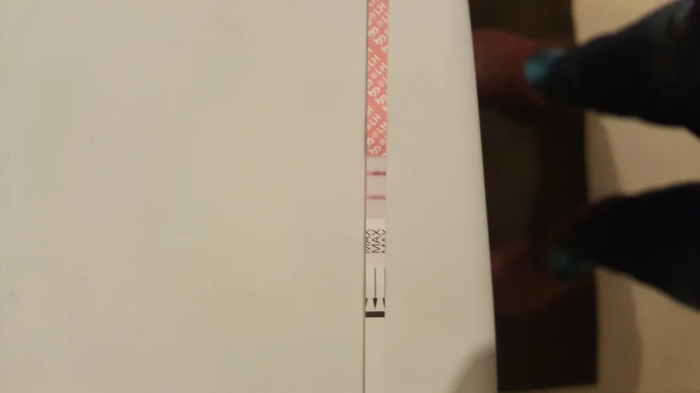 vgfppn3ngzc6.webp