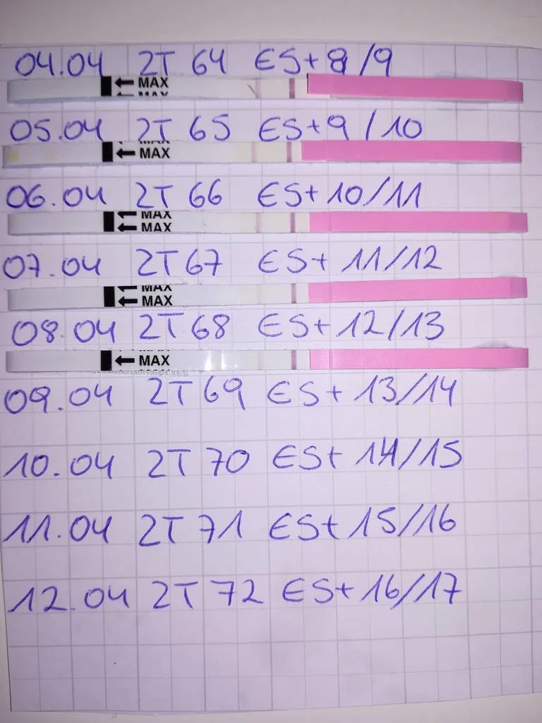 1f1ag2ksa3ni.webp