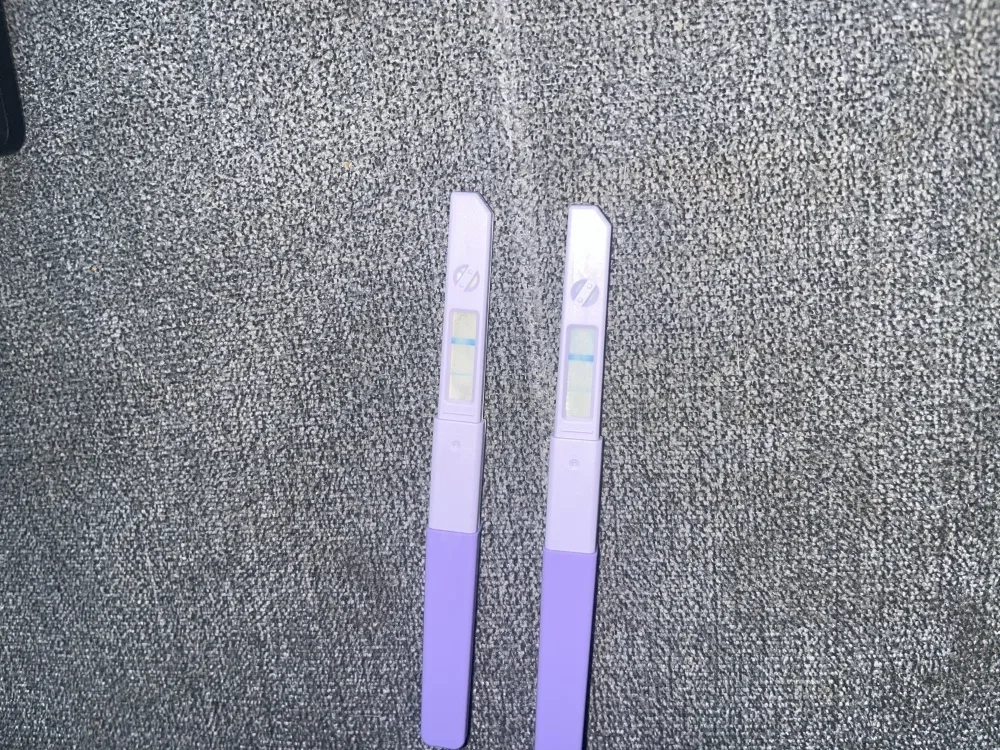 8bzd9q22l8dw.webp