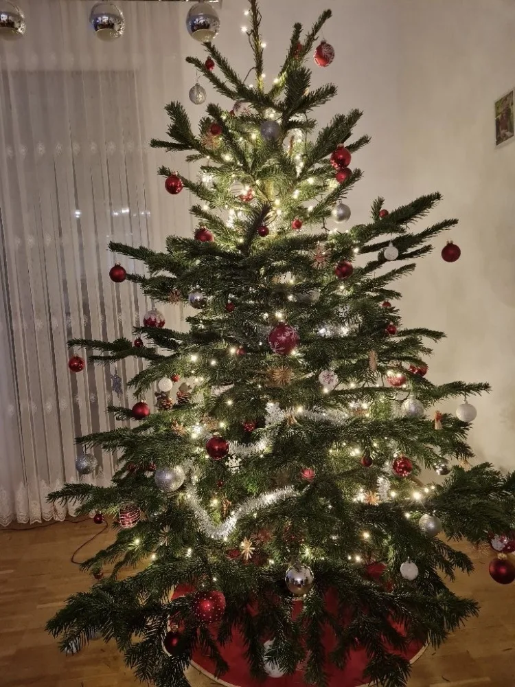 msaxakyhpqpw.webp