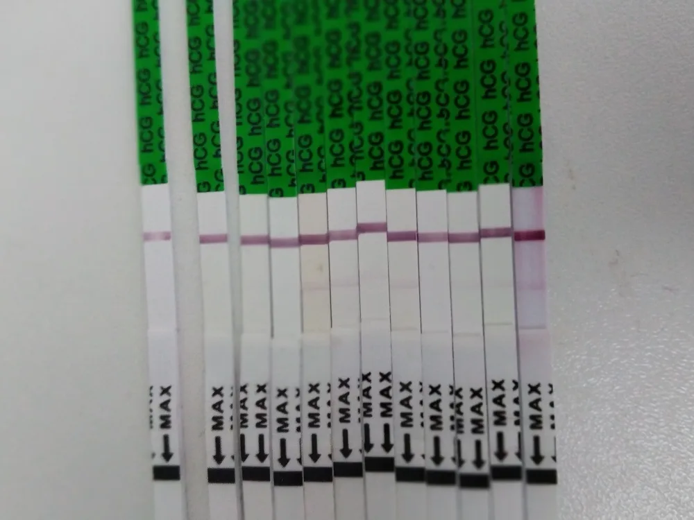 x7xrxdn3cgqi.webp