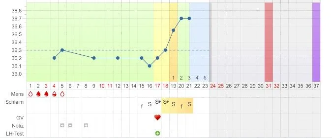 f6qep0q0j15d.webp